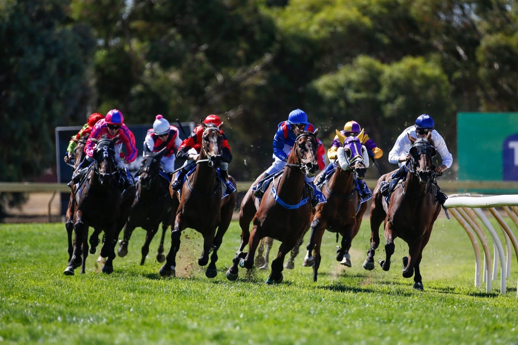 Mitch’s Black Book – Echuca Friday October&nbsp;1st