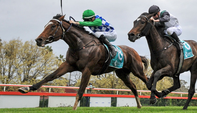 Mitch’s Melbourne Cup Day&nbsp;Selections