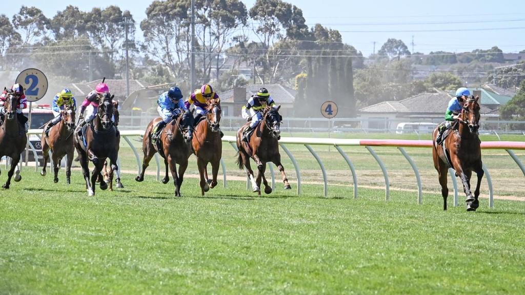 Mitch’s Lightning Stakes Day&nbsp;tips