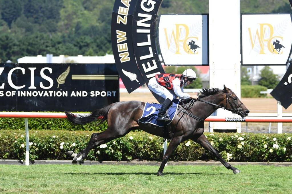 Mitch’s Derby Day&nbsp;Tips