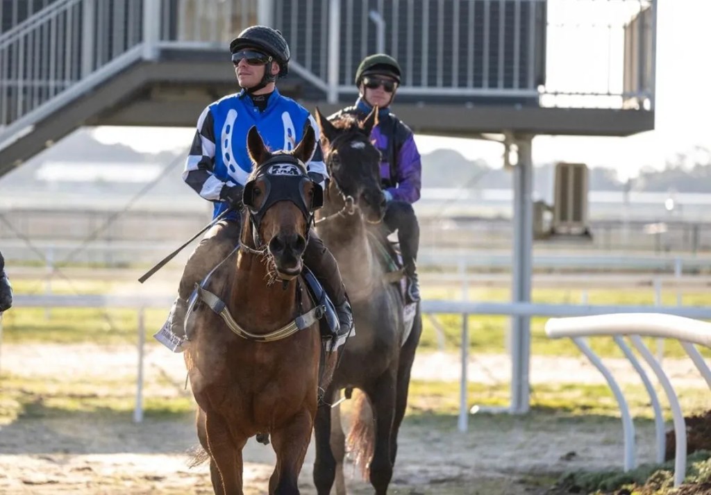 Mitch’s Echuca and Melbourne Cup day&nbsp;selections