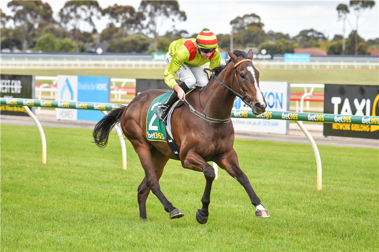 Warrnambool and Moonee Valley Bets NYE&nbsp;2022