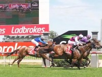 Maiden Madness – Sale 2nd August&nbsp;2023