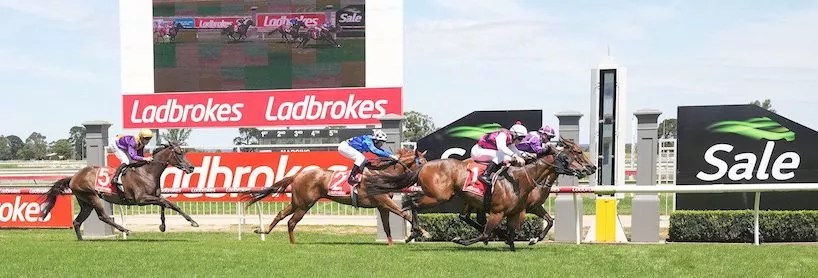 Maiden Madness – Sale 2nd August&nbsp;2023