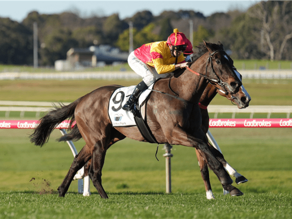 Sandown Hillside Preview 6th September&nbsp;2023