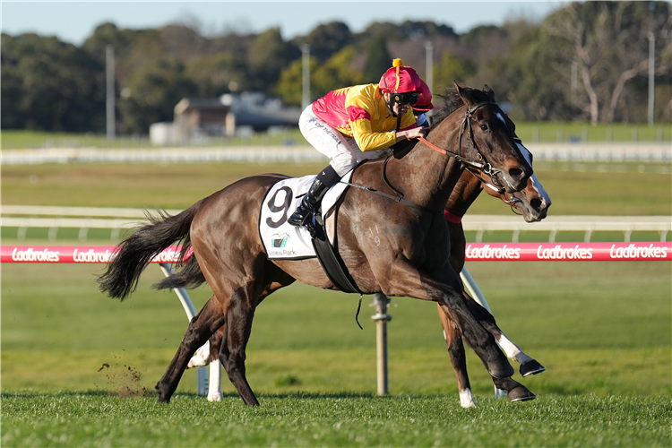 Sandown Hillside Preview 6th September 2023