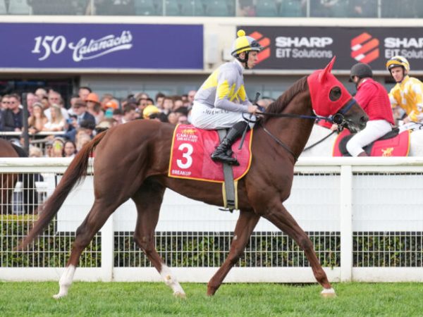 Melbourne Cup Day Best Bets Flemington and&nbsp;Echuca