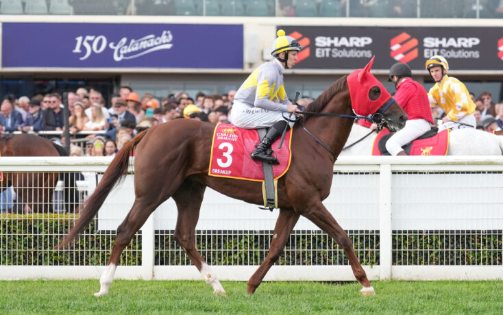 Melbourne Cup Day Best Bets Flemington and Echuca