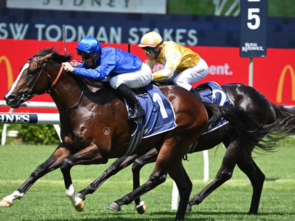 Derby Day Tips and Best Bets – Flemington 4th of&nbsp;November